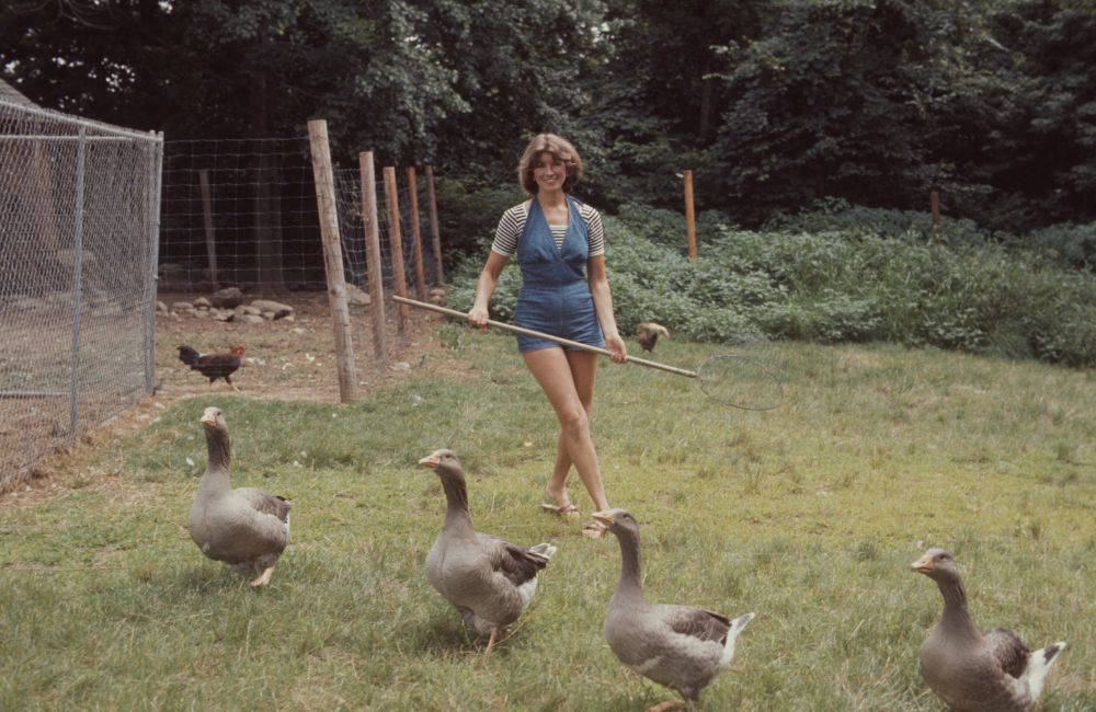 Martha Stewart ©Susan Wood/Getty Images